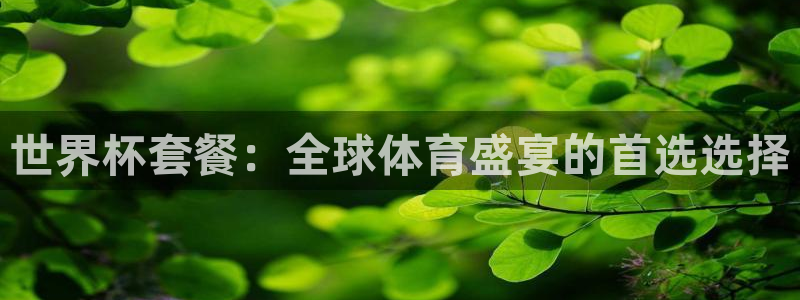 世界杯欧洲预选赛：世界杯套餐：全球体育盛宴的首选选择