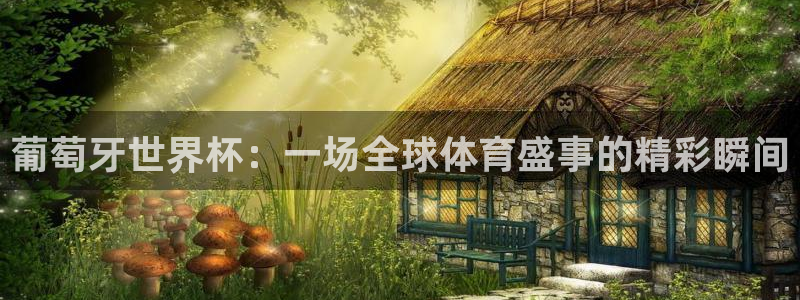 世界杯预选赛欧洲：葡萄牙世界杯：一场全球体育盛事的精彩瞬间