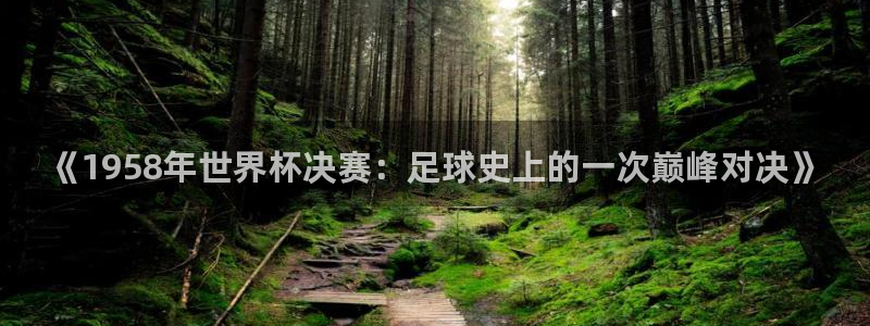 世界杯在线直播入口：《1958年世界杯决赛：足球史上的一次巅峰对决》