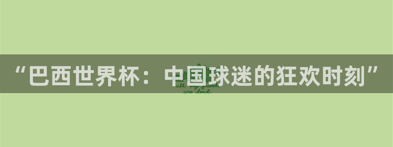 世界杯2026比赛时间表：“巴西世界杯：中国球迷的狂欢时刻”