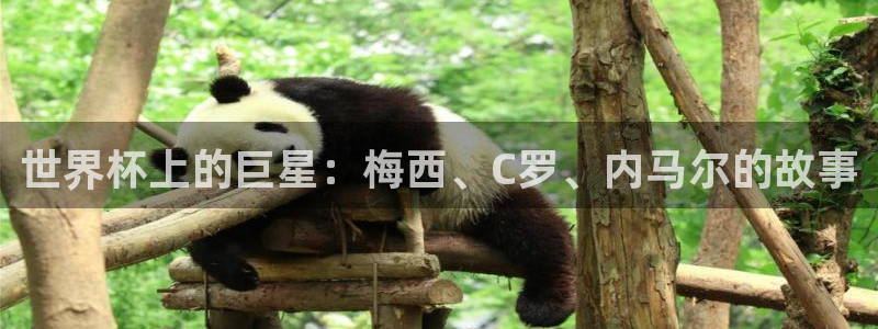 女足世界杯直播在线观看免费高清：世界杯上的巨星：梅西、C罗、内马尔的故事