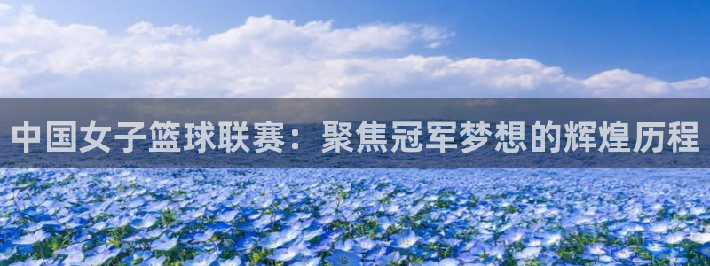 世界杯小组赛赛程：中国女子篮球联赛：聚焦冠军梦想的辉煌历程