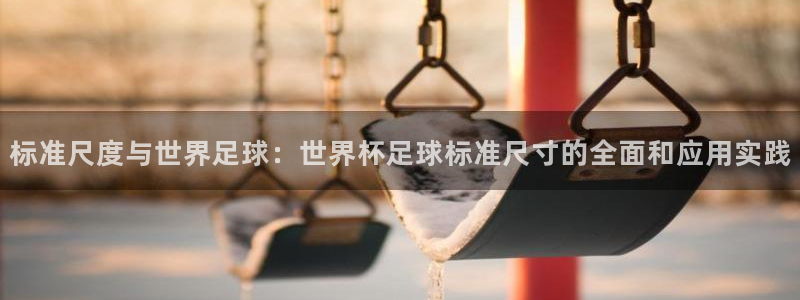 2026世界杯赛：标准尺度与世界足球：世界杯足球标准尺寸的全面和应用实践