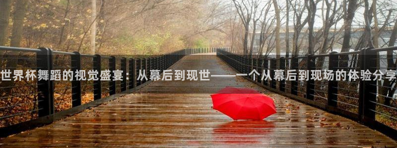 美国世界杯：世界杯舞蹈的视觉盛宴：从幕后到现世——一个从幕后到现场的体验分享
