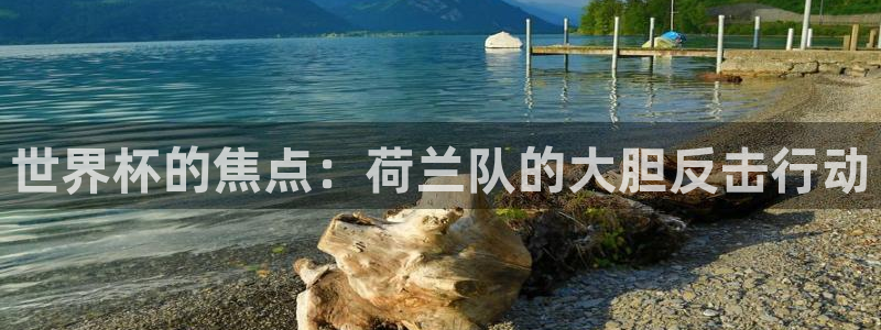 世界杯2026赛程表：世界杯的焦点：荷兰队的大胆反击行动